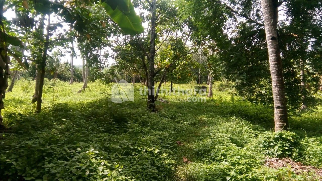 Residential Land available for Sale in Kunnathur Kollam
