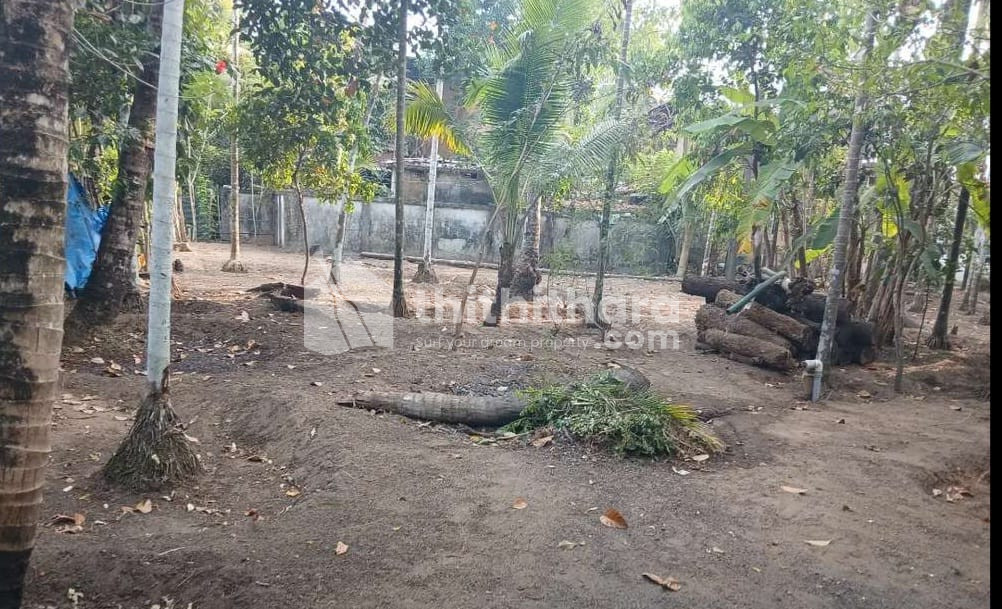Residential Land available for Sale in Kaipamangalam Thrissur