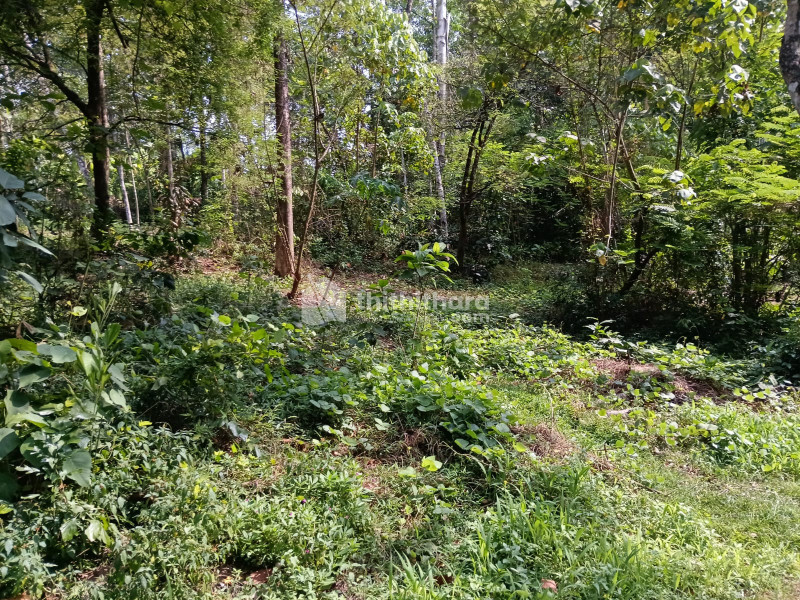 Residential Land available for Sale in Chengannur Alappuzha
