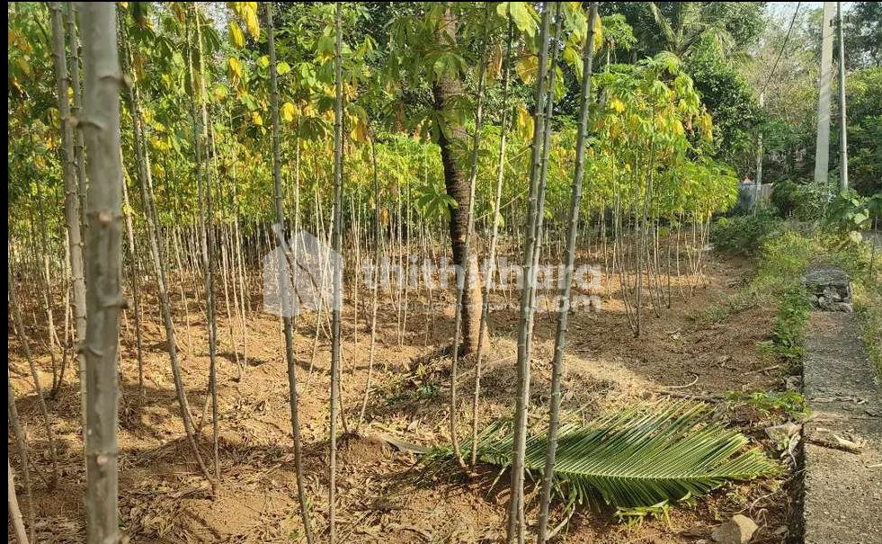 Residential Land available for Sale in Kottarakkara Kollam