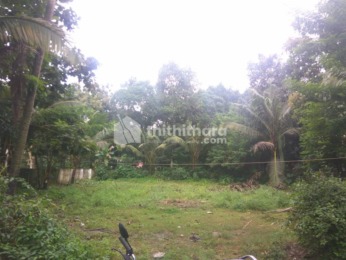 Land for Sale in Mannampetta Thrissur