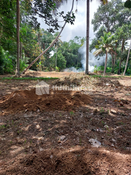 Residential Land available for Sale in Karunagappally Kollam