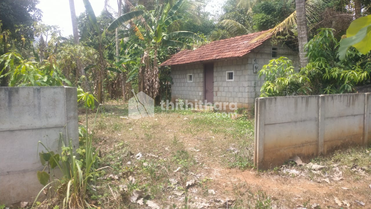 Residential Land available for Sale in Adipperanda Alampallam, Nenmara, Palakkad