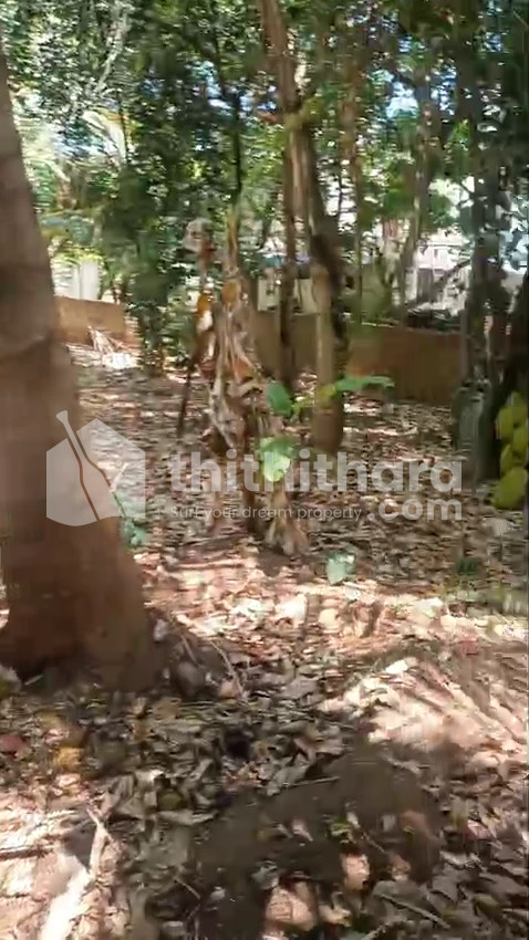 Residential Land available for Sale in Ollukkara Thrissur