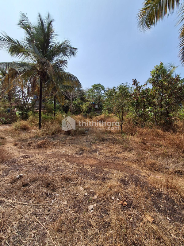 Commercial Plots available for Sale in Kottakkal Malappuram