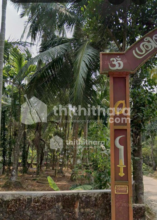 Land available for Sale in Calicut University, Malappuram