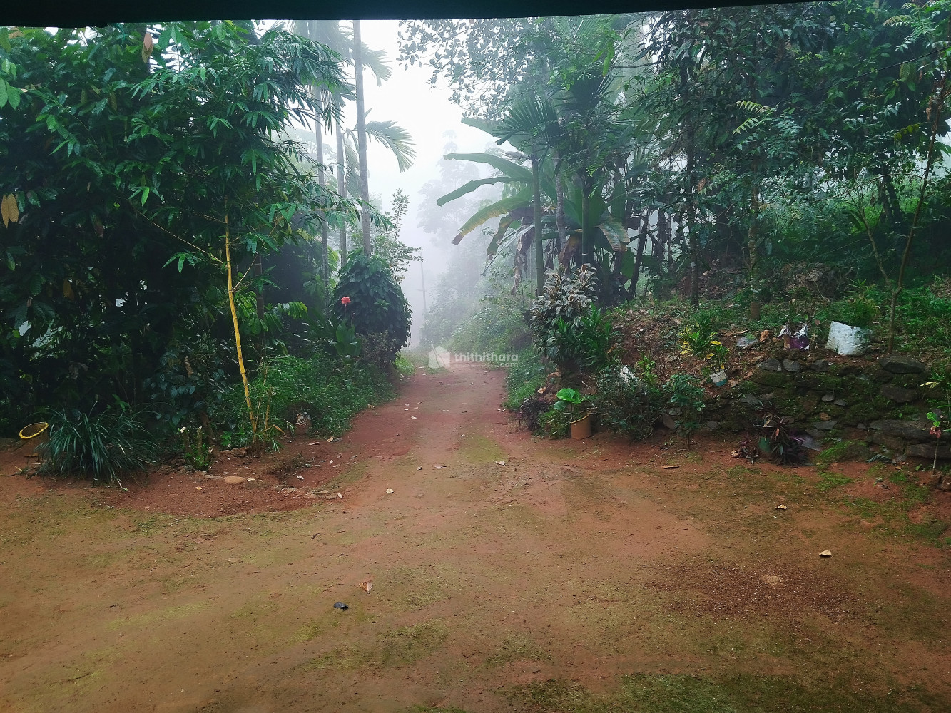 Residential Land available for Sale in Perumpillichira, Thodupuzha, Idukki