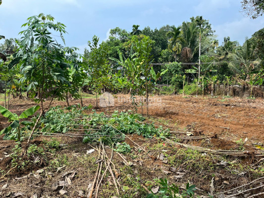 Residential Land available for Sale in Aluva Ernakulam