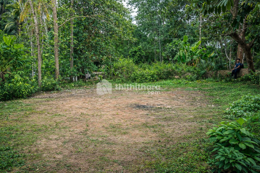 Land for Sale in vembayam Trivandrum 