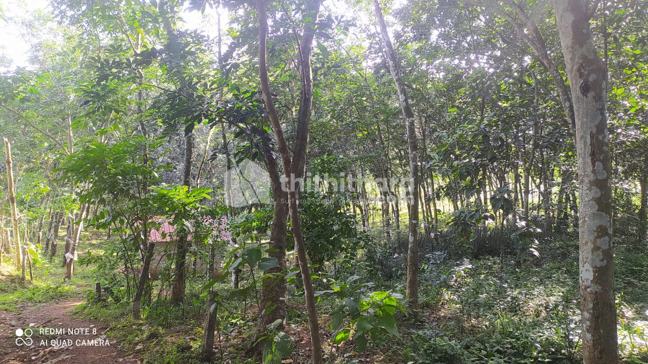 House plot @ 70,000/- 2acre single plot