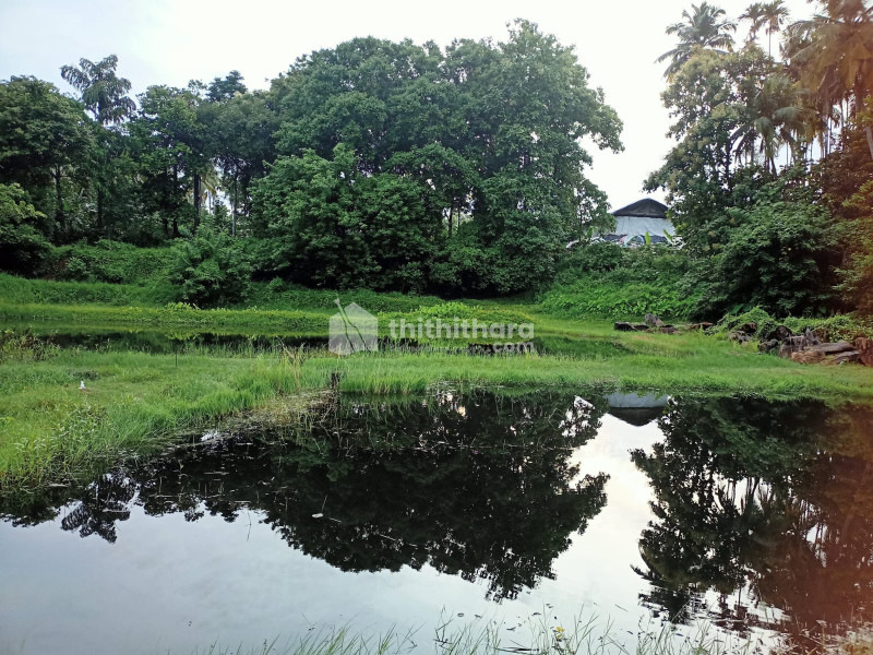Agricultural Land available for Sale in Alathur Palakkad