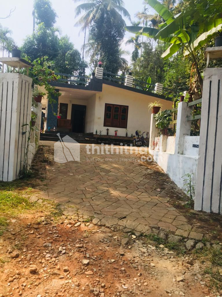 3 BHK House for sale at Ettenalu, Vellamunda, Wayanad