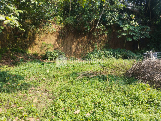 Land for sale in chottanikkara Ernakulam 