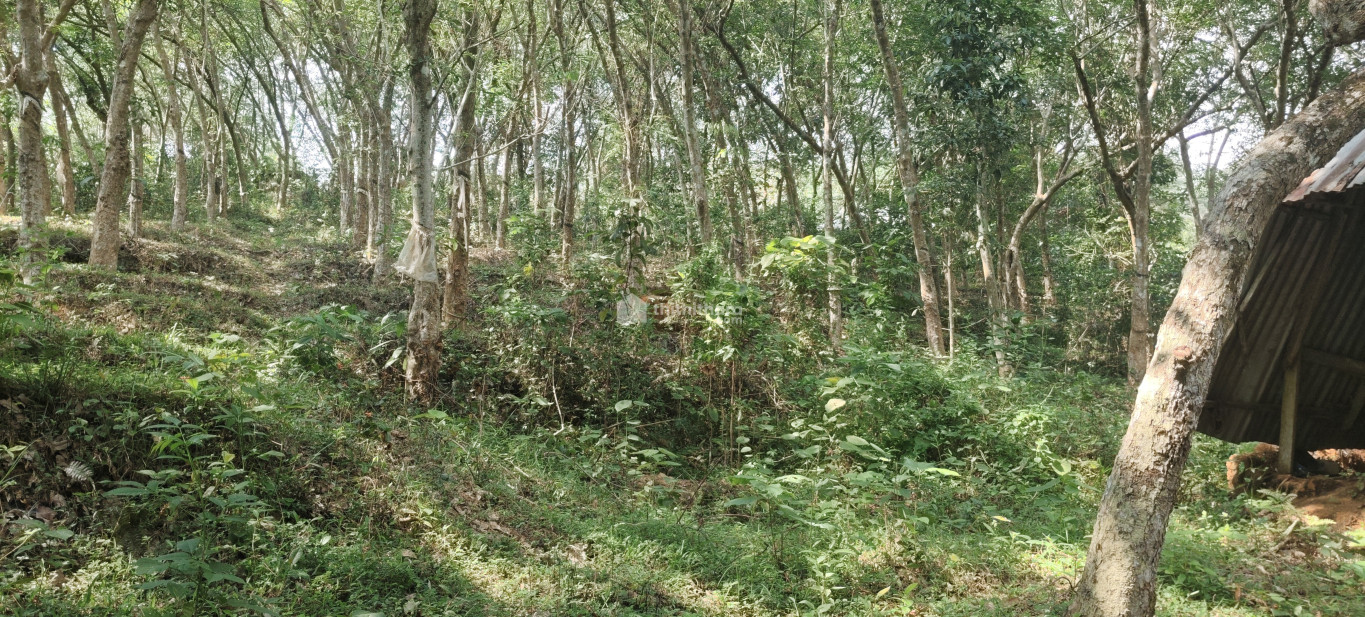 Commercial Plot for Sale in Kazhakootam Thiruvananthapuram
