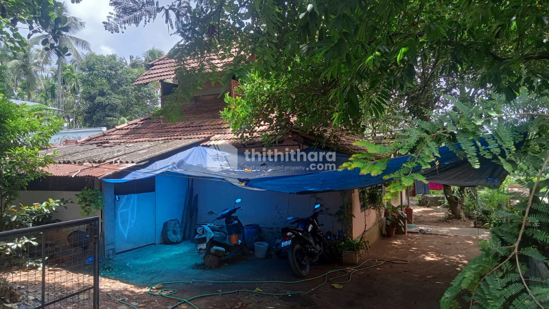 8 Cent Land and house for sale