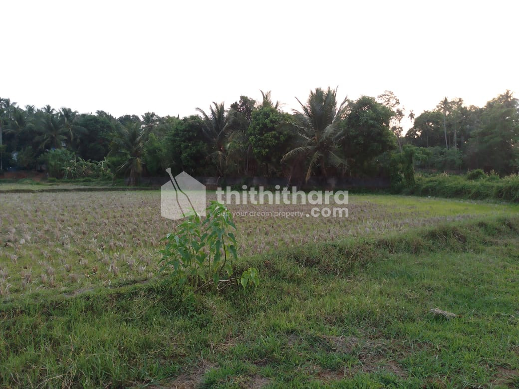 Residential Land available for Sale in Wadakkanchery Thrissur