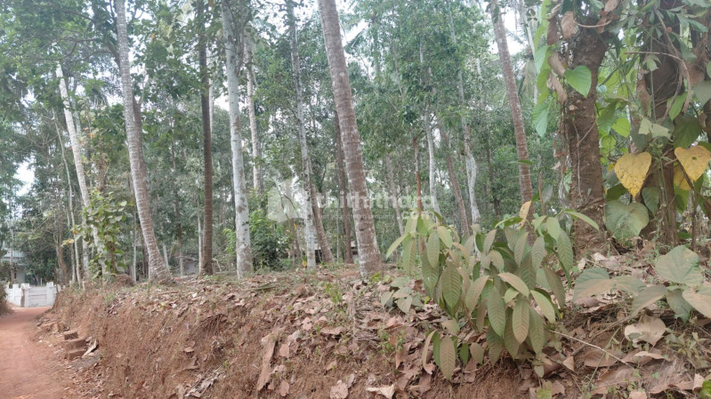 Residential Land available for Sale in Dharmadom Kannur