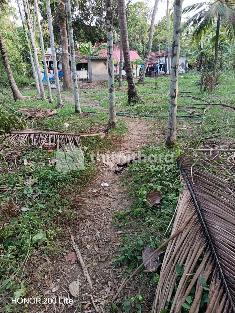 Residential Land available for Sale in Anthikad, Manalur, Thrissur