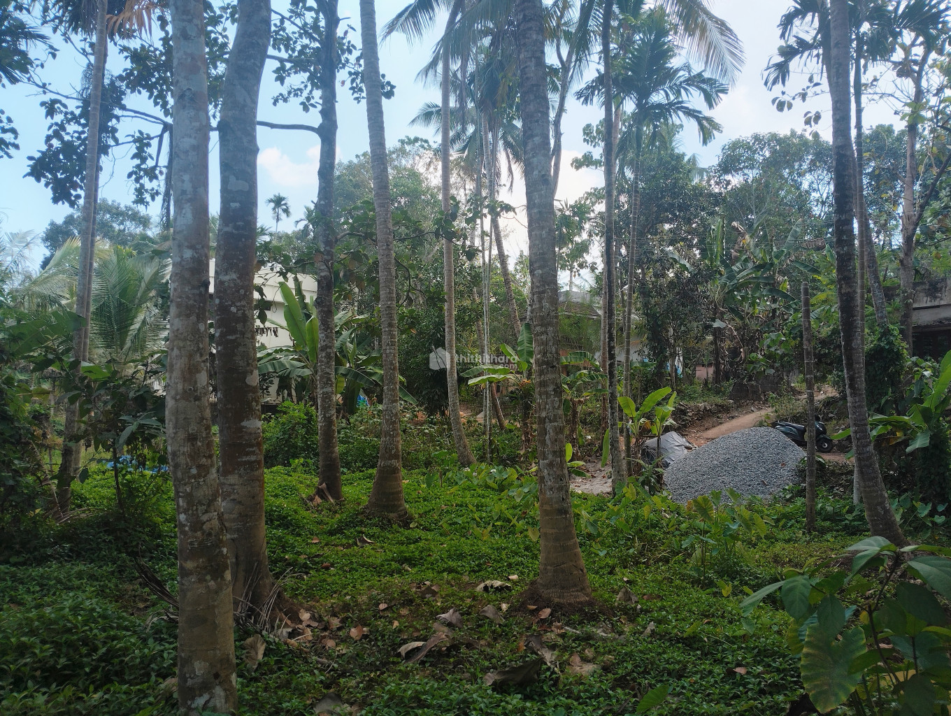 Commercial plot for sale in Erayamcode Thiruvananthapuram 