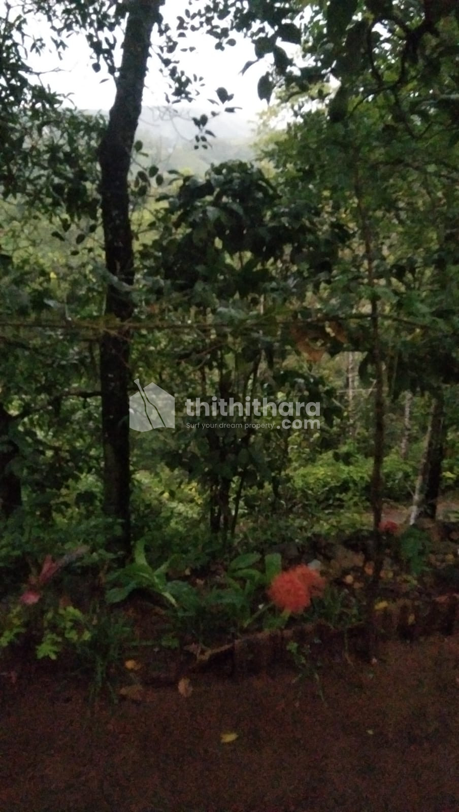  Land for Sale in Peerumade Idukki