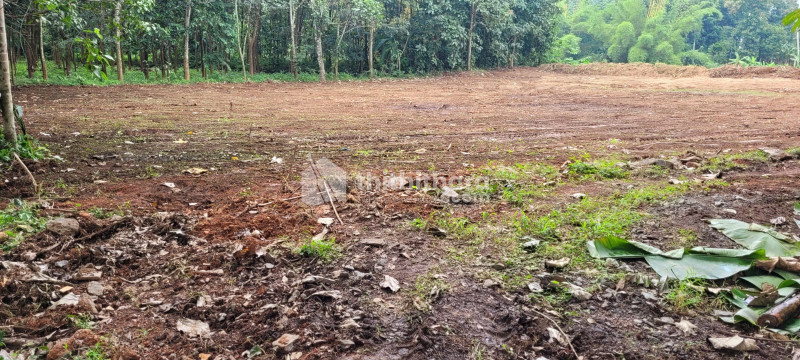 Land available for Sale in Adoor Pathanamthitta