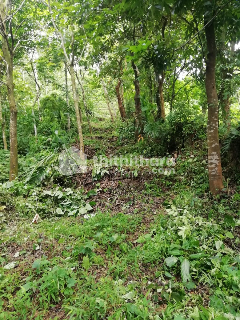 16.5 Acre Commercial plot for sale in Kodikuthimala, Perinthalmanna