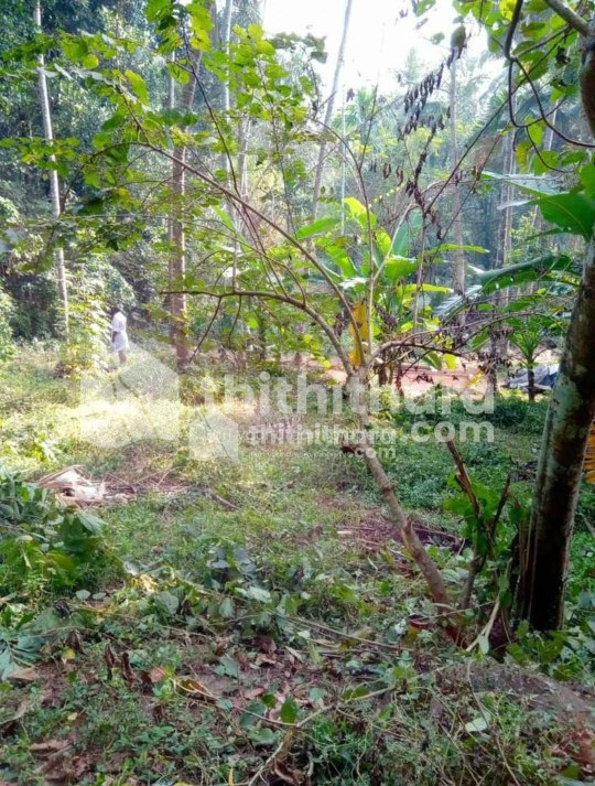 22 cent residential land ,near calicut medical collage , devagiri collage 