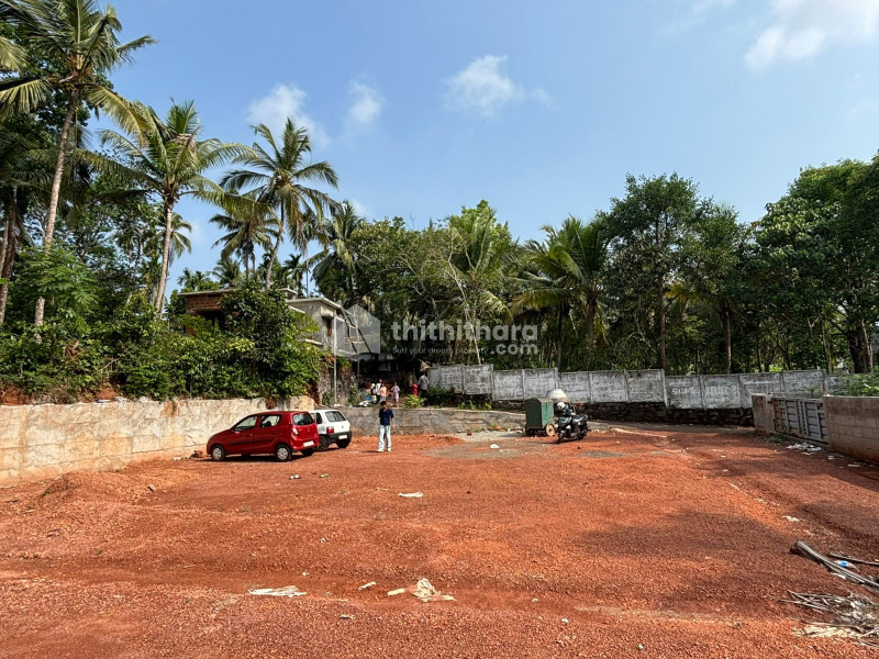 Land for Sale Mallikadavu Kozhikode