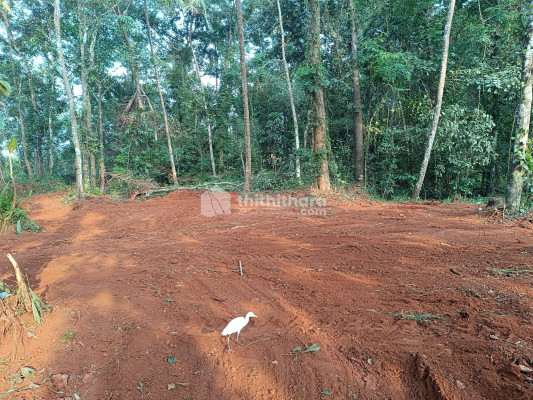 Land for Sale in Mattanur Kannur