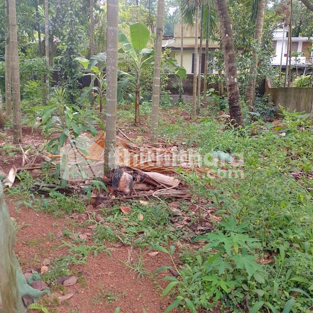 Land for Sale in Aluva Ernakulam
