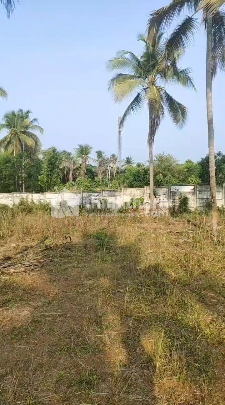Land for Sale in Thrithala Palakkad