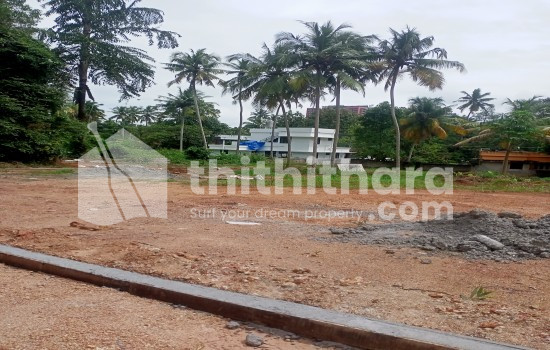 Plots for sale in Pallipuram Thiruvanandapuram