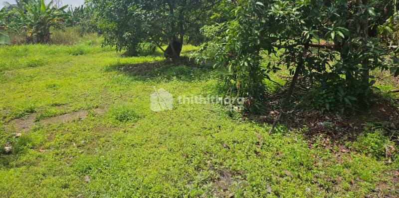 Residential land for sale in Patturaickal