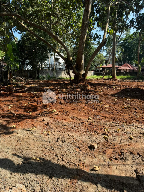 Land for sale in Naduvattam Kozhikode