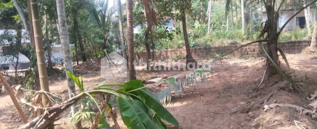 Land for Sale in Edakkad Kannur 