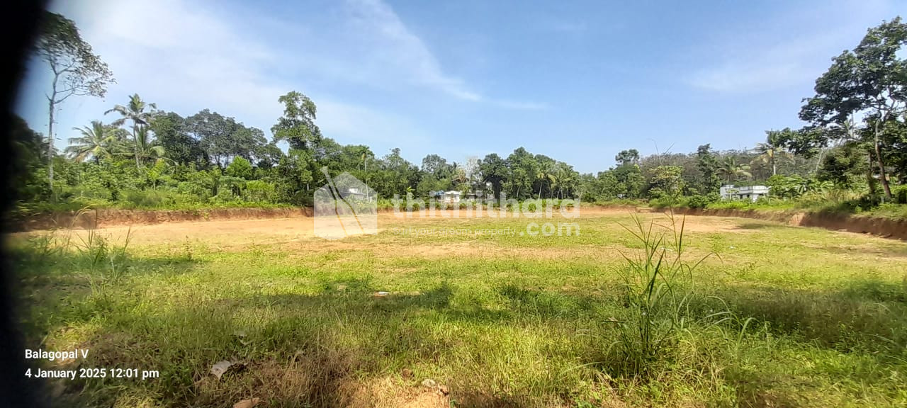 Land for Sale in Kunnathur Kollam