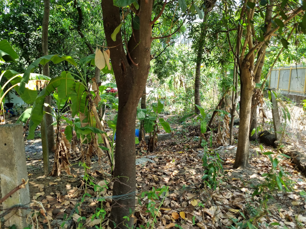 Land for Sale in Kanjikode Palakkad