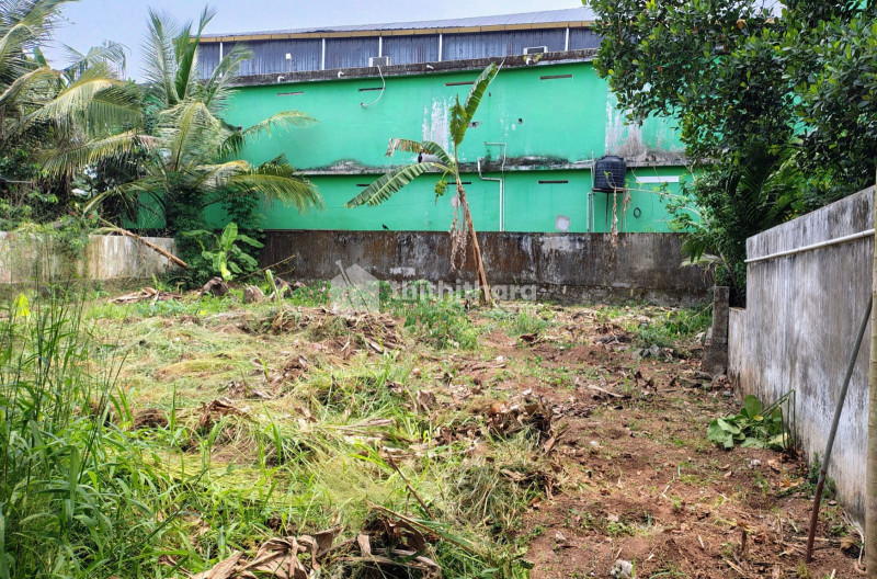 Land for Sale in Chottanikkara Ernakulam