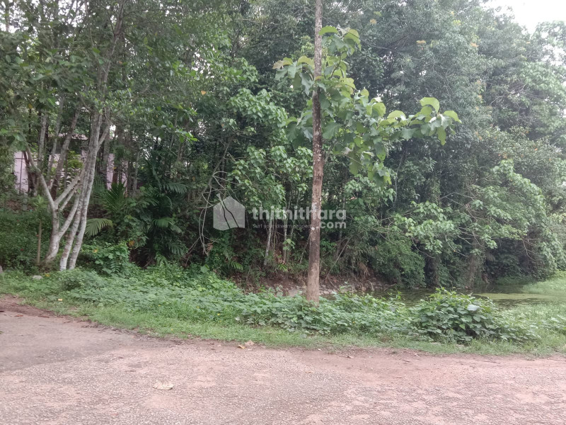 Plots for Sale in Adoor Pathanamthitta