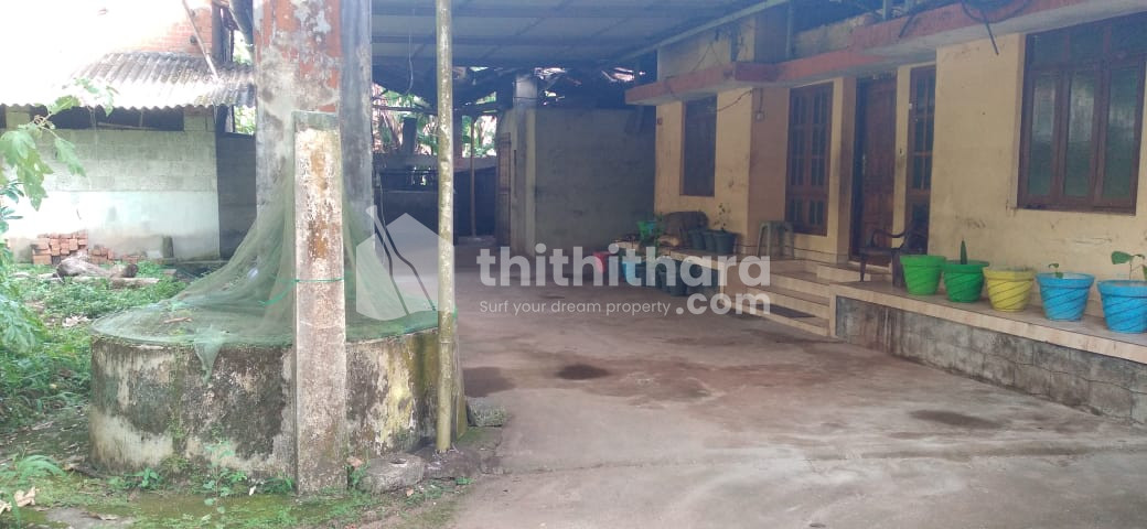 House and plot for sale in Punalur 