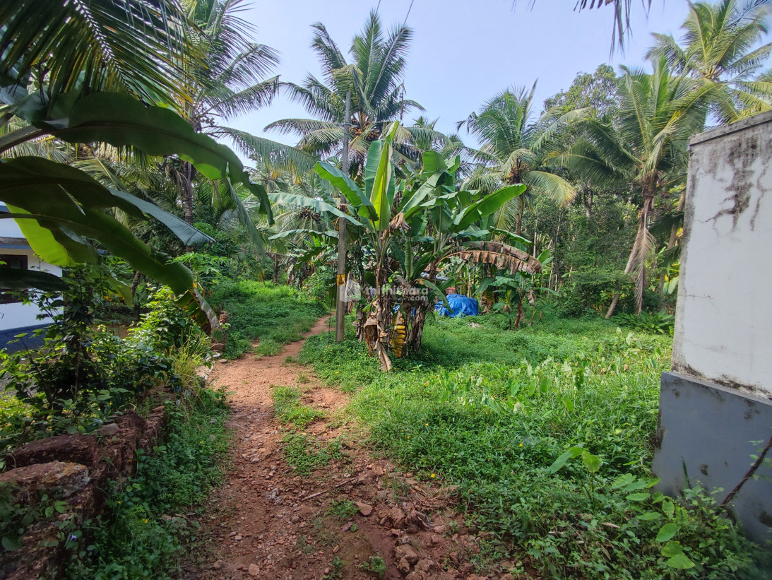 സ്ഥലം വിൽപ്പനക്ക്