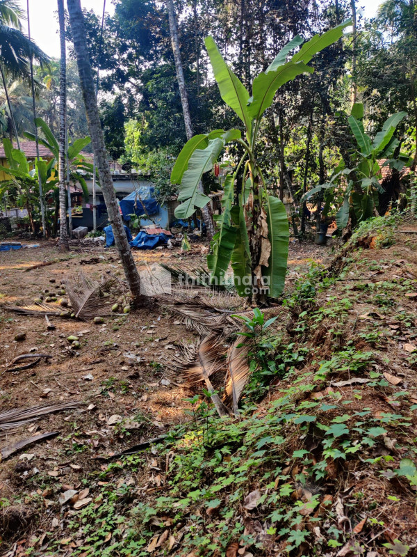 18 Cent House Plot for sale in Kannamangalam, Malappuram