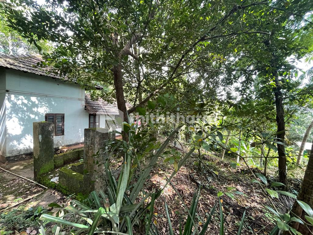 Residential Plot for Sale in Pantheeramkavu, Kozhikode