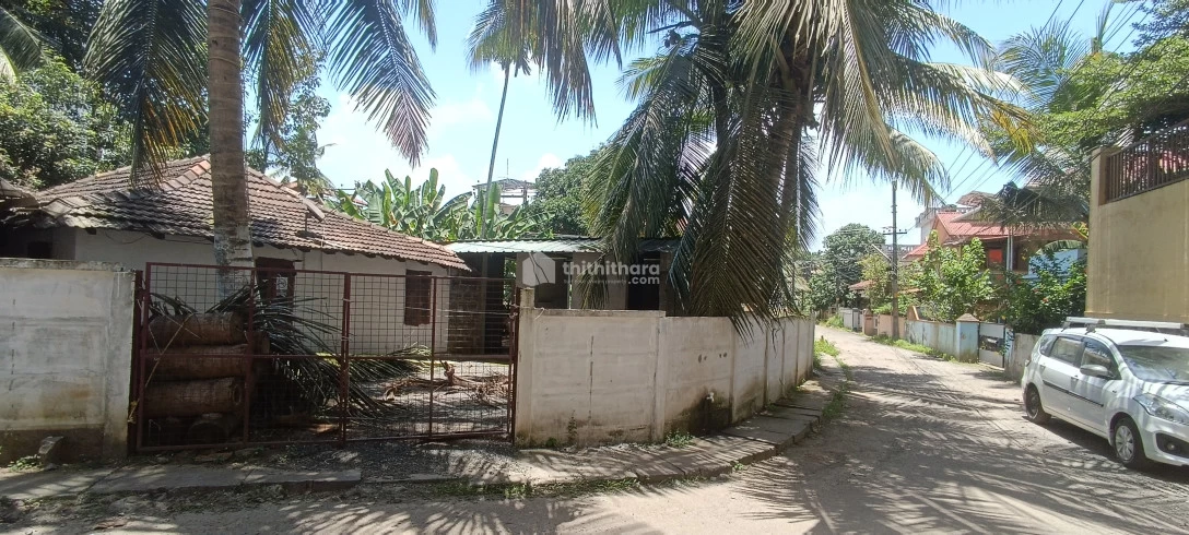 5.9 cent plot for saleat  Edappally kochi
