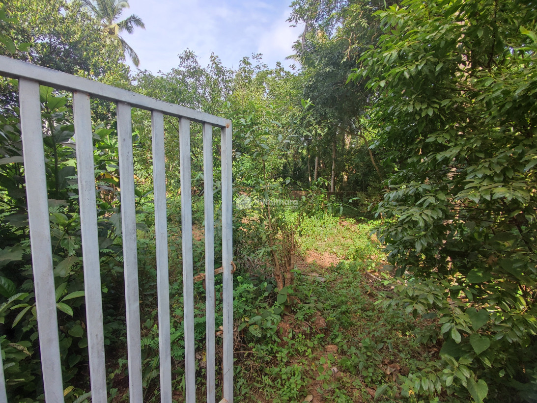 സ്ഥലം വിൽപ്പനക്ക് 