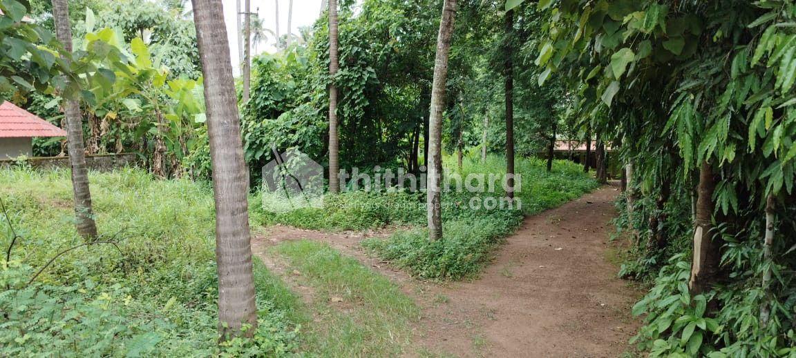 Property land 17 cent for Sale