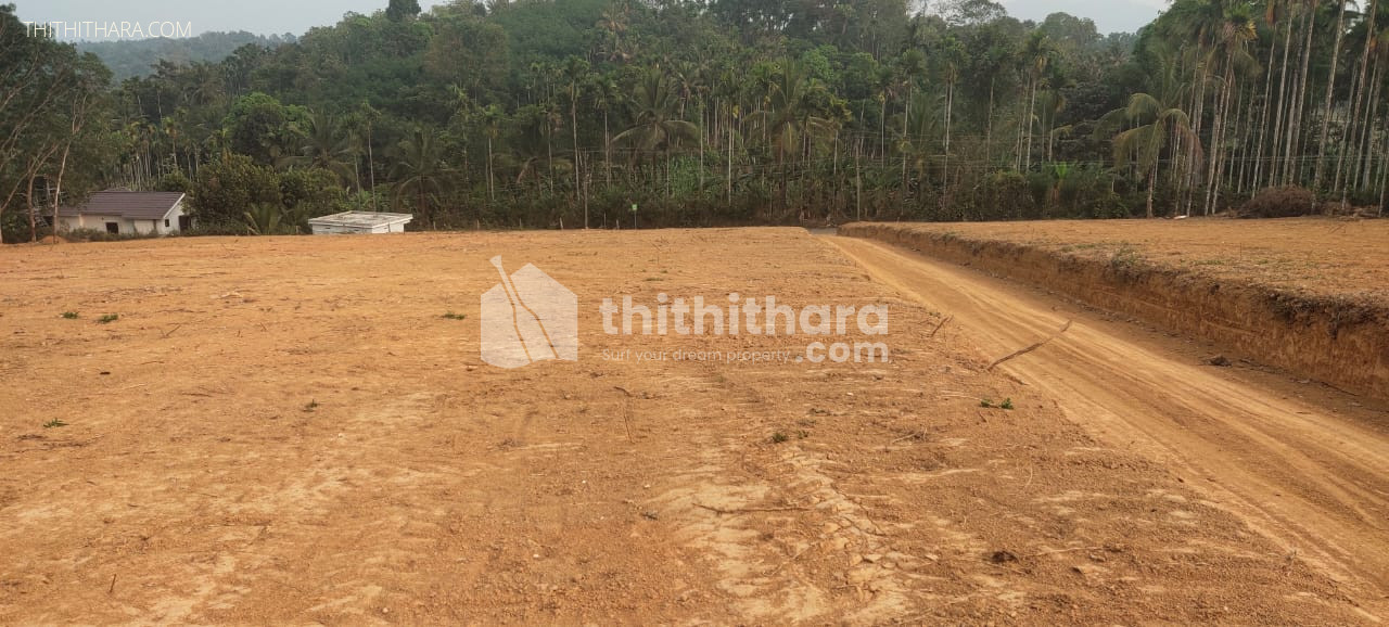 Residential Plot for Sale in Kambalakkad, Wayanad