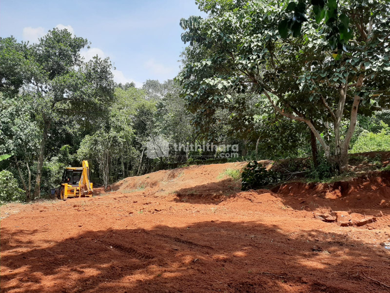 46 Cents land, 1.5km from Lulu mall