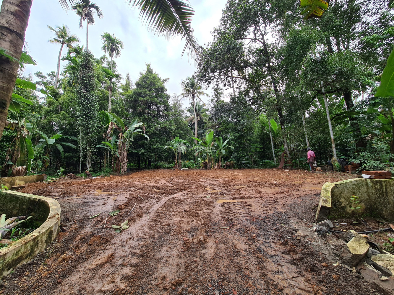 Plot for sale Near perumbavoor, vallam