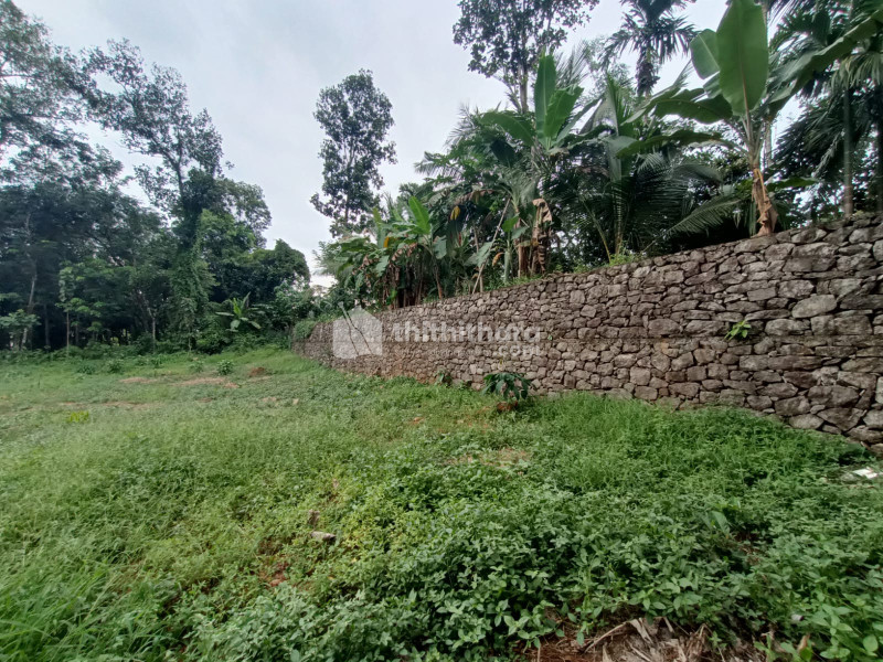 33 cents of land 